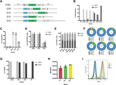 Genome Editing With TALEN, CRISPR-Cas9 and CRISPR-Cas12a in Combination With AAV6 Homology Donor Restores T Cell Function for XLP